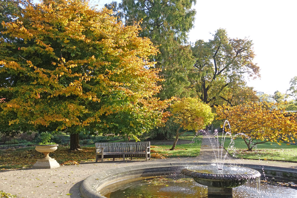 fountain-autumn