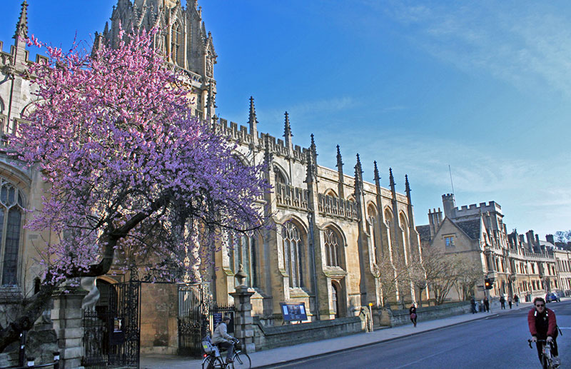 st-marys-blossom