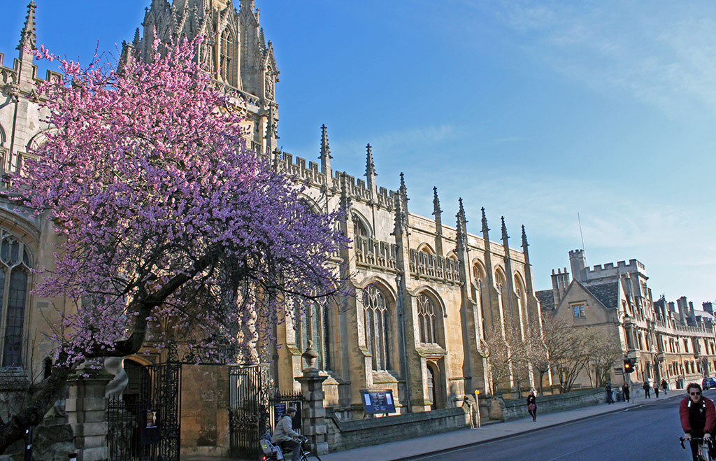 tree-apple-blossom-march-st-mary-high-street-3