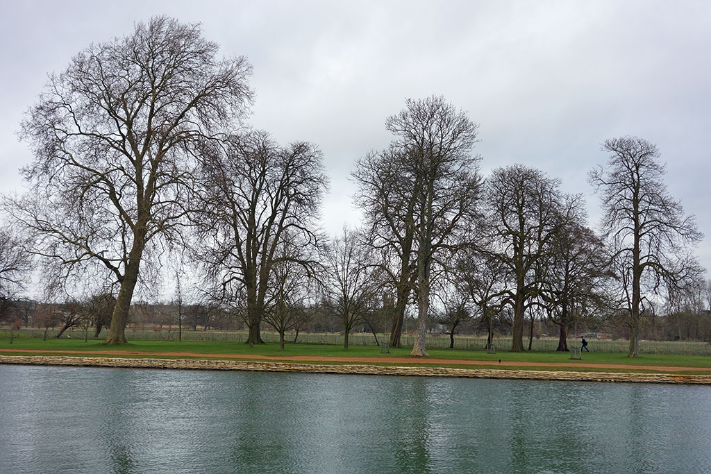 trees-christ-church-meadow