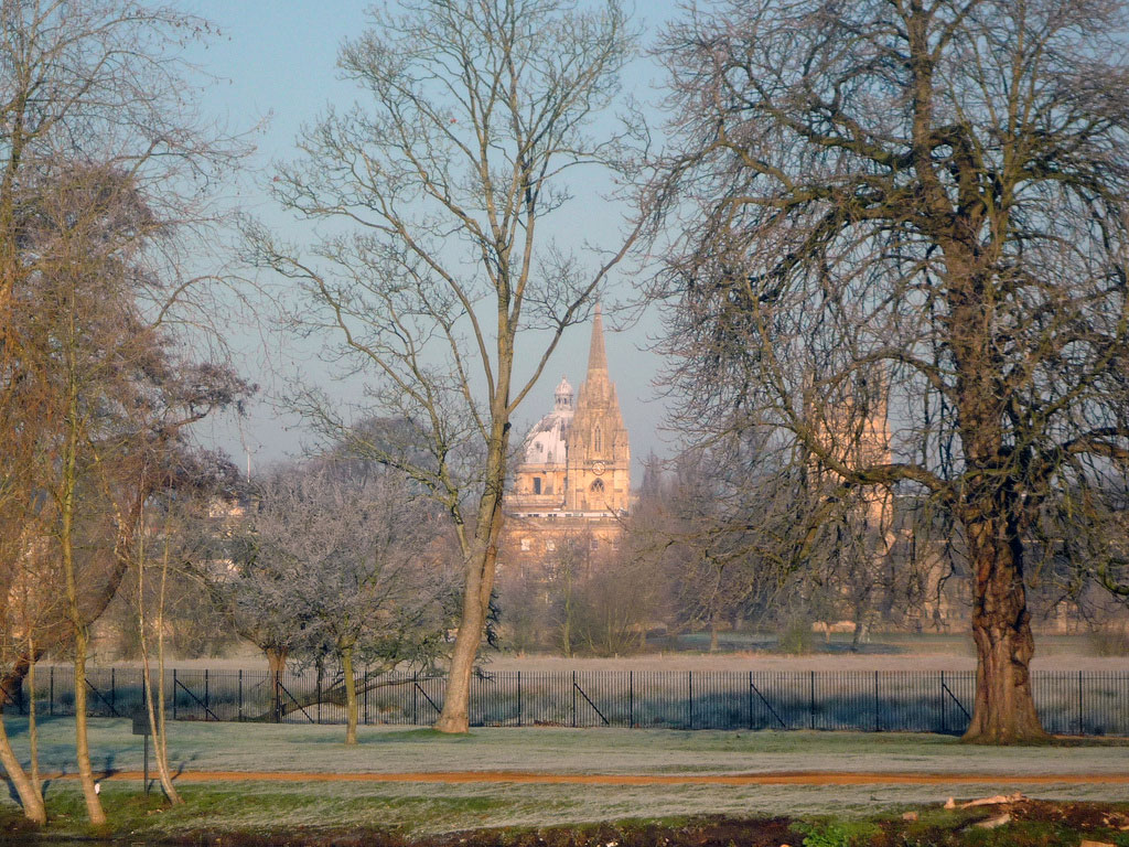 trees-view-cc-meadow