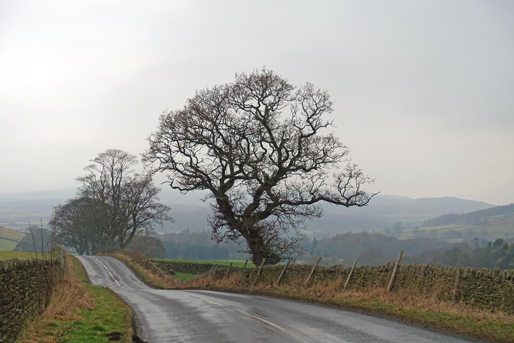 The Road to Burnsall