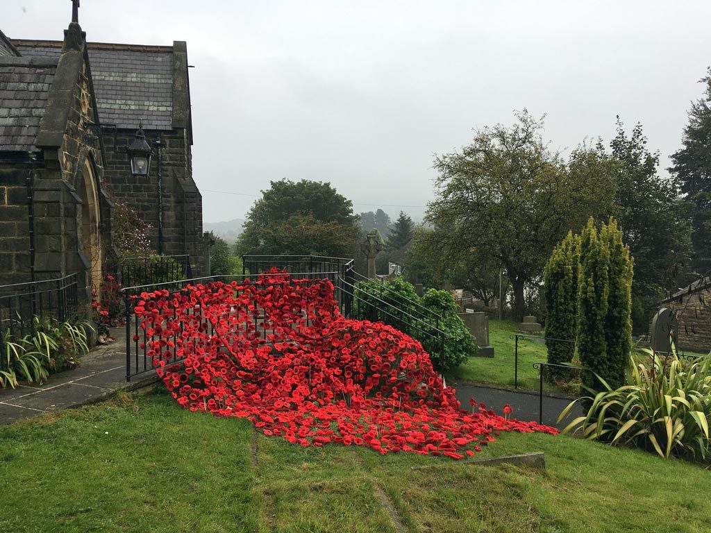 poppies